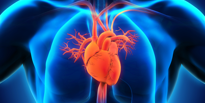 Heart Disease Prediction Model